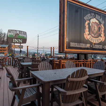 Wild Bear Inn-2